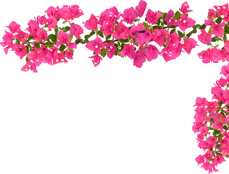 footer-bg2.webp
