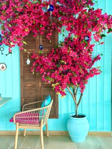 Breakfast Delight Accompanied by Bougainvillea Flowers